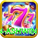 ravichandran ashwin Pro Max v4.0.1