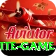 roulette game Turbo Pro v4.8.5