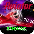 sehwag Apps (Tools & Injectors) Plus v1.4.1