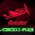 smartcric live cricket - Gaming Plus