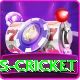 sports cricket Pro v4.5.1