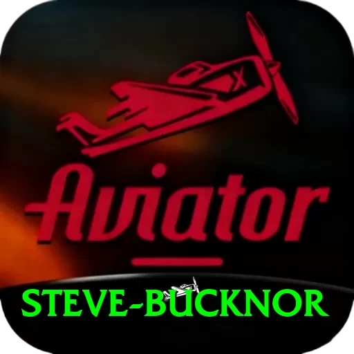 steve bucknor Deluxe Edition v4.3.8 - 2