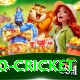 t20 cricket Pro Edition v3.6.9