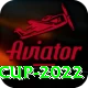 t20 world cup 2022 VIP v4.9.8