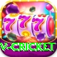 v cricket Apps (Tools & Injectors) VIP v1.4.2