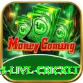 watch live cricket Pro Edition v4.6.5