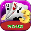 wc t20 Deluxe v2.0.8