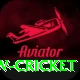 willow cricket Pro v3.9.7